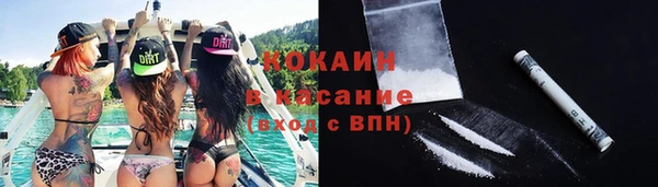 СК Алексин