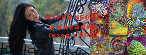 СК Алексин