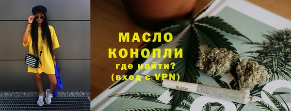 СК Алексин